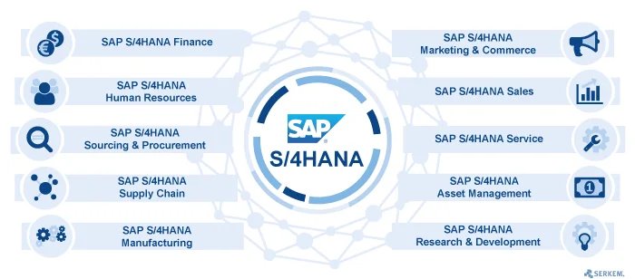 SAP Solutions by Little Drop Software